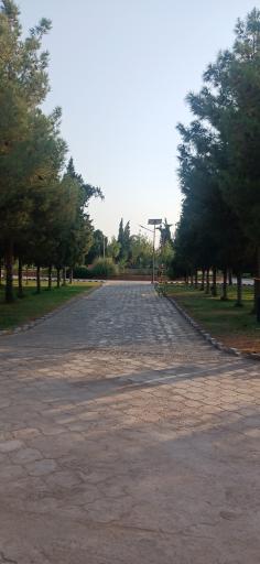 عکس بوستان سرو