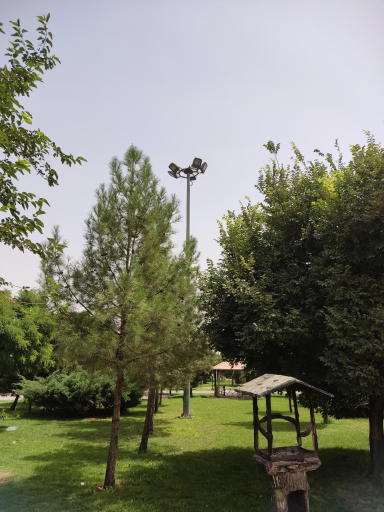 عکس بوستان سرو