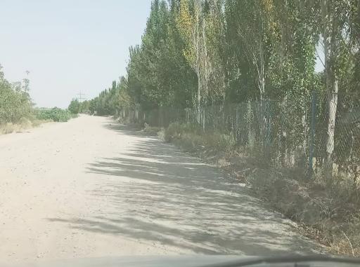 عکس مزرعه زکی زاده 