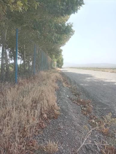 عکس مزرعه زکی زاده 