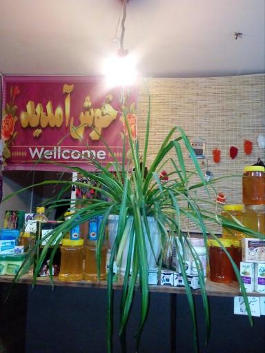 عکس گیاهان دارویی معطر