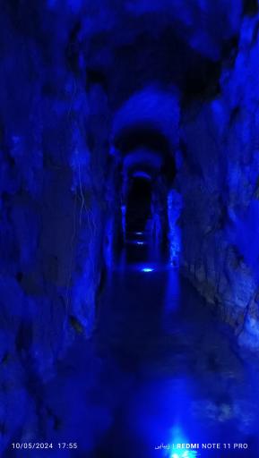 عکس غال شغال