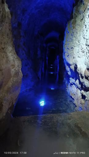 عکس غال شغال