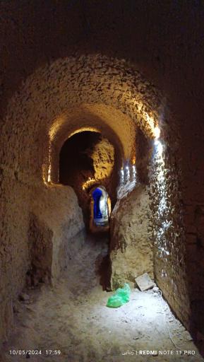 عکس غال شغال