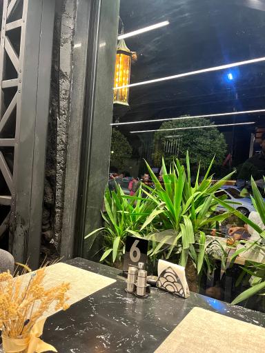 عکس دنر ترکی