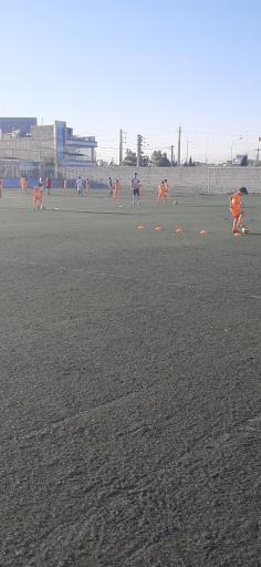 عکس باشگاه و آکادمی حرفه ای فوتبال