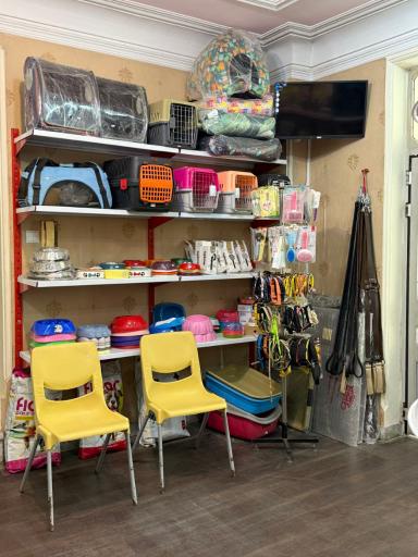 عکس کلینیک دامپزشکی دکتر قدسی