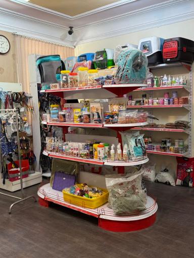 عکس کلینیک دامپزشکی دکتر قدسی