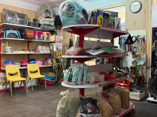 عکس کلینیک دامپزشکی دکتر قدسی