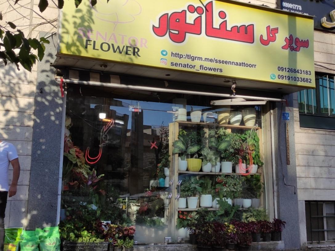 عکس سوپر گل سناتور