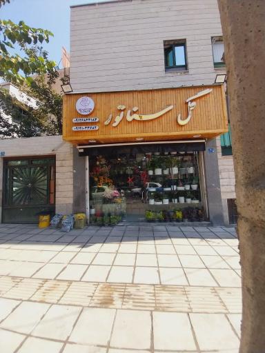 عکس سوپر گل سناتور