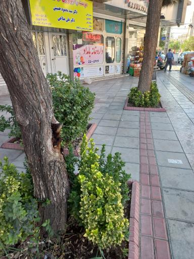 عکس داروخانه بامداد