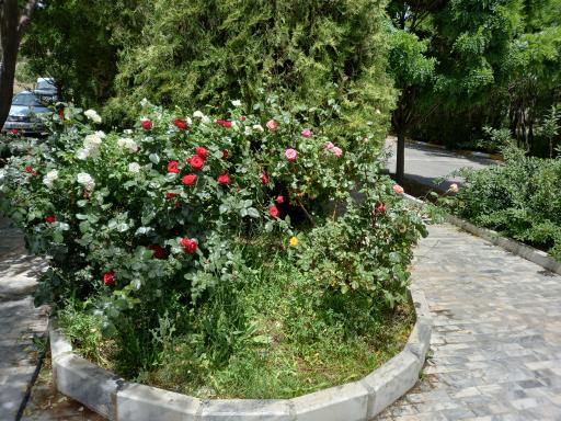 عکس پارک کودک