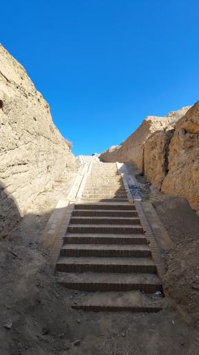 عکس غال شغال