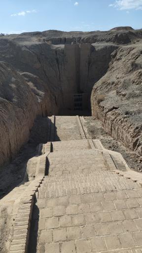 عکس غال شغال