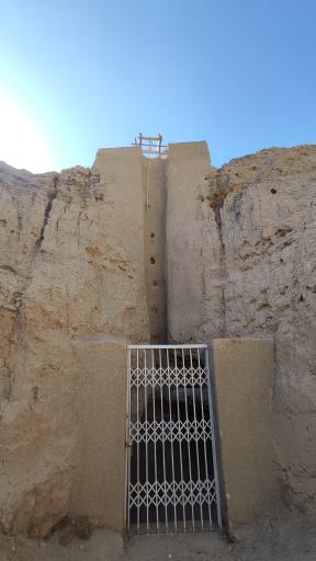 عکس غال شغال