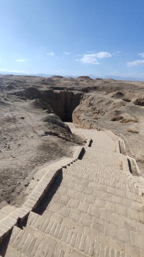 عکس غال شغال