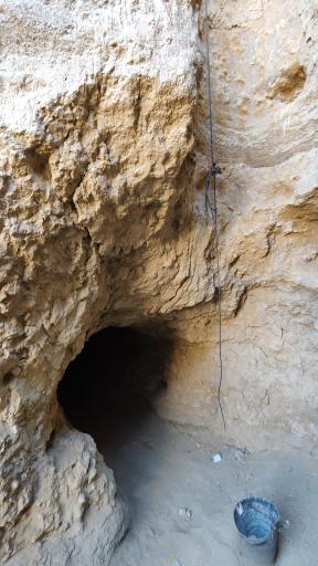 عکس غال شغال