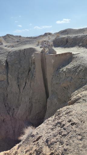 عکس غال شغال