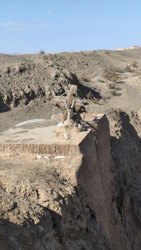 عکس غال شغال