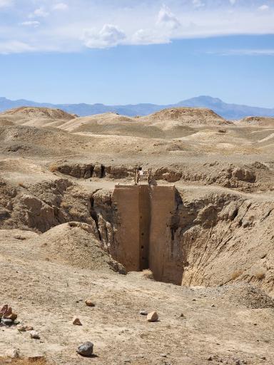 عکس غال شغال