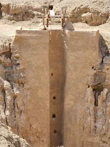 عکس غال شغال