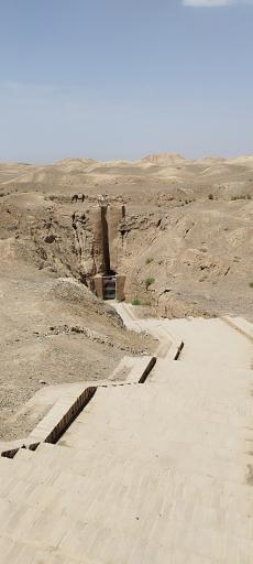 عکس غال شغال