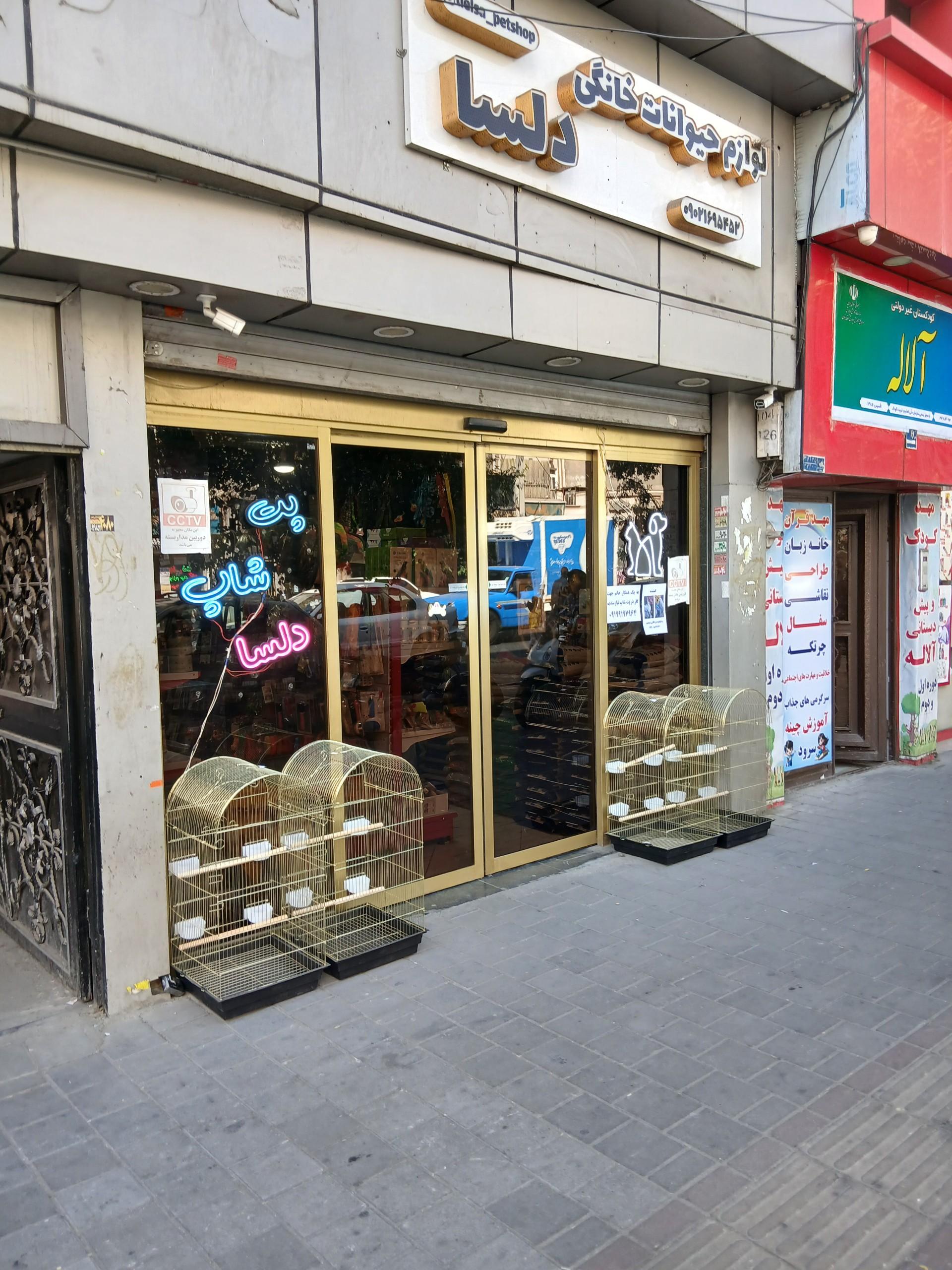 عکس لوازم حیوانات خانگی دلسا