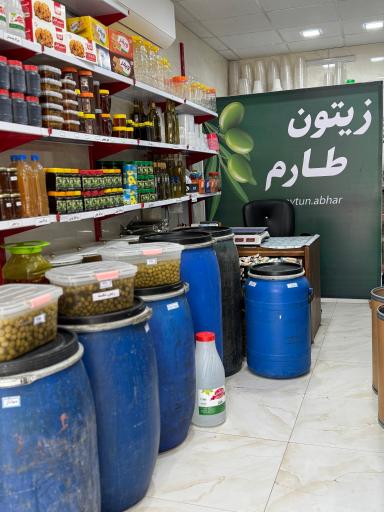 زیتون طارم 