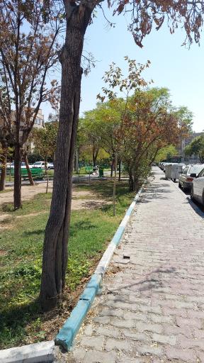 عکس میدان نخجیر