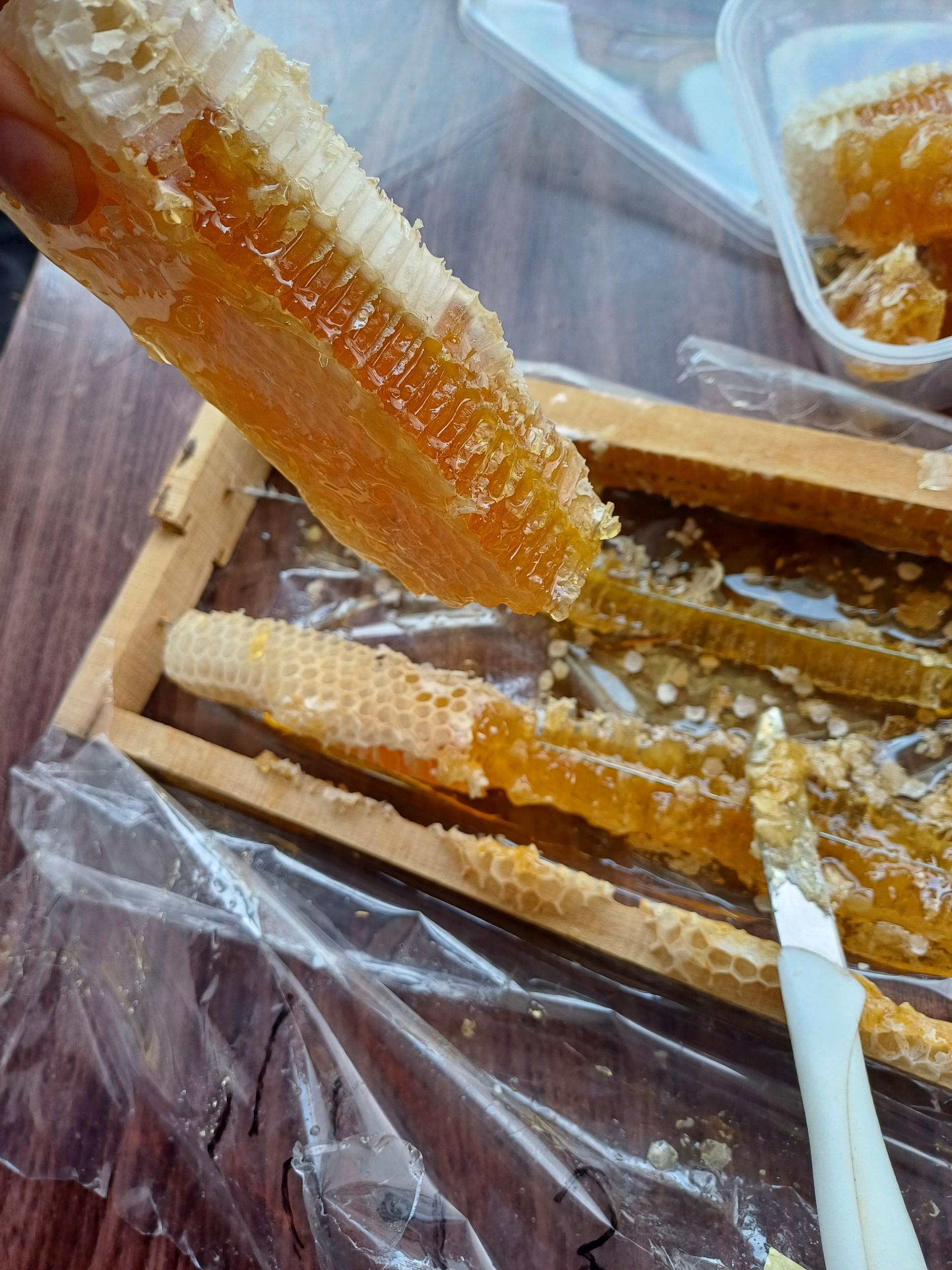 عکس عسل ساری لو