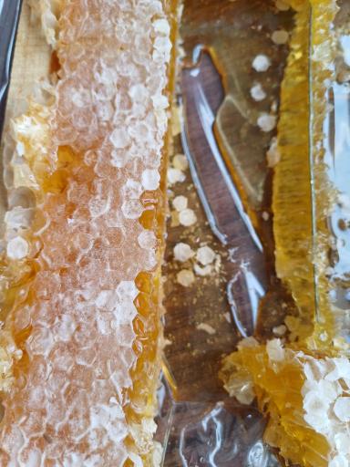 عسل ساری لو