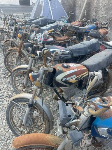 عکس دکتر مزایده