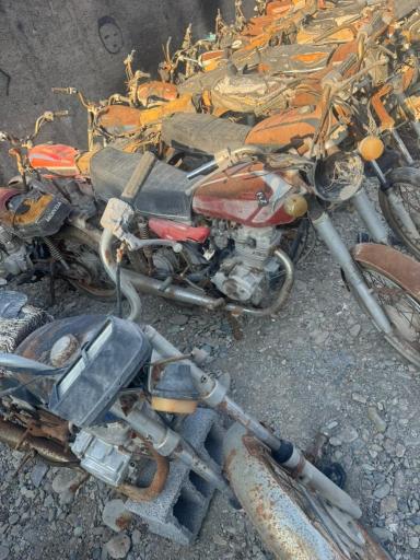 عکس دکتر مزایده