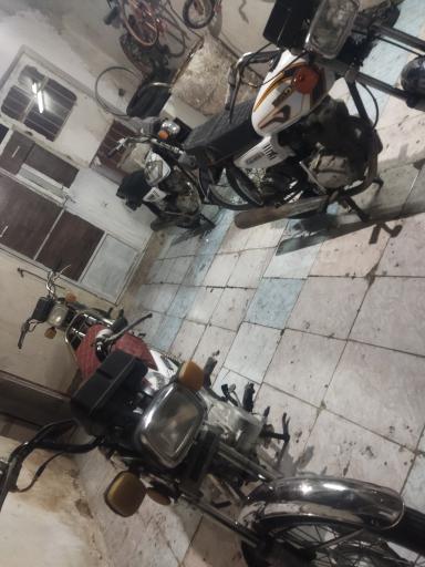 عکس دکتر مزایده