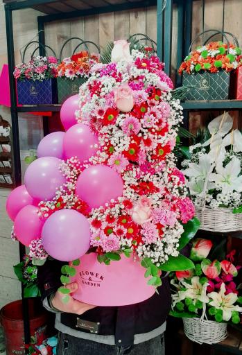 عکس گل سرای کوهستان