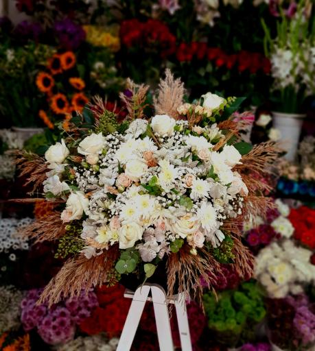 عکس گل سرای کوهستان