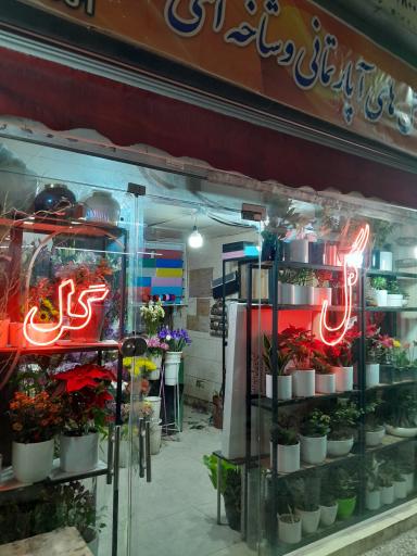 عکس گل سرای کوهستان