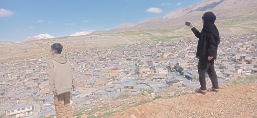 عکس کاج