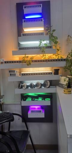 عکس روشنایی مگابیز