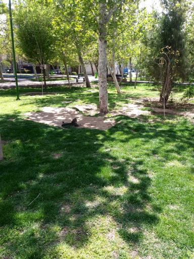 عکس بوستان شهید صالحی