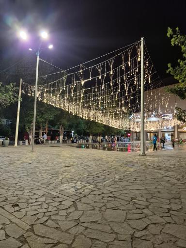 عکس بوستان باغ ملی