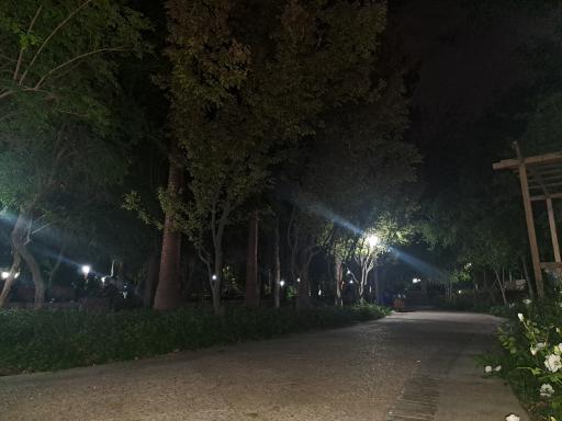 عکس بوستان باغ ملی