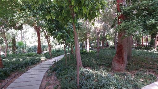 عکس بوستان باغ ملی