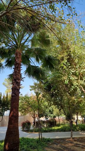 عکس بوستان باغ ملی