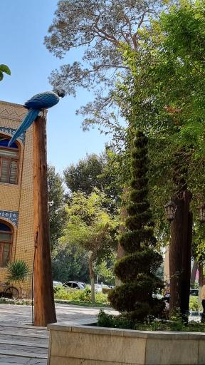 عکس بوستان باغ ملی