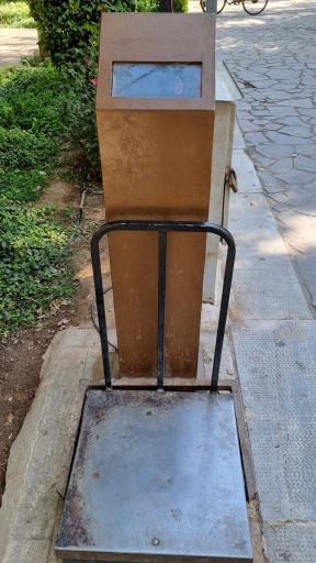 عکس بوستان باغ ملی