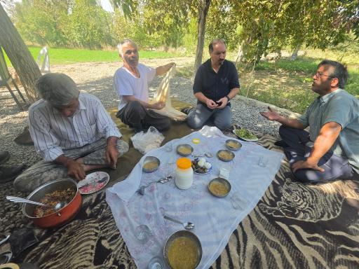 عکس حسن حافظ