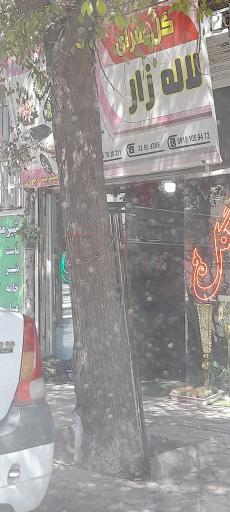 عکس گل سرای لاله زار