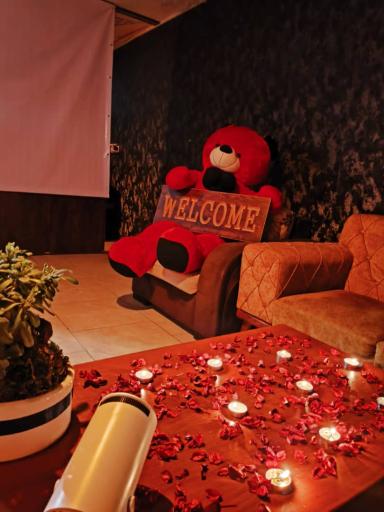 عکس کافه جغد